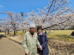 姫路城にお花見に行きました